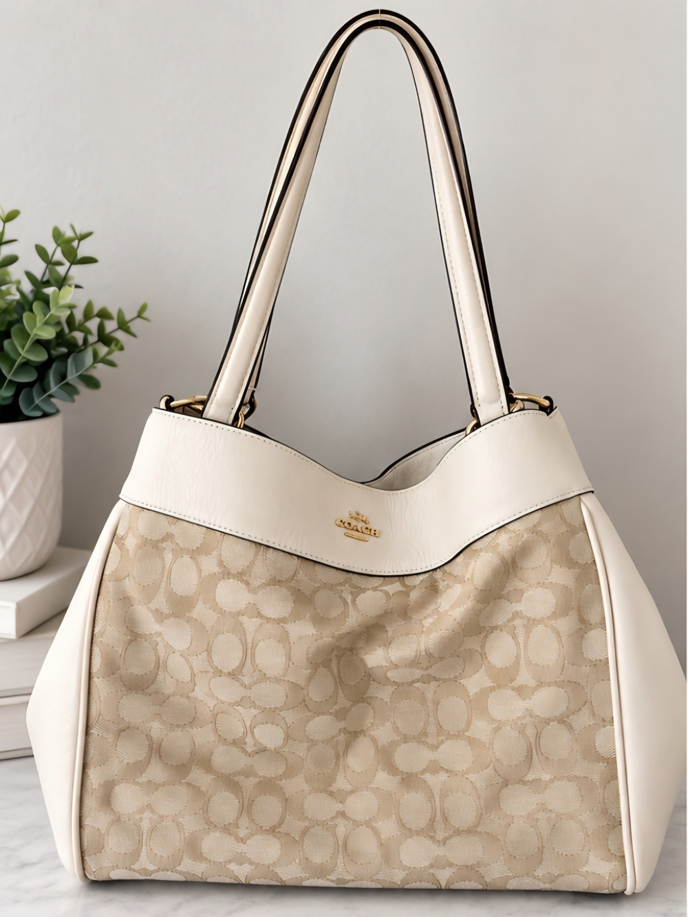 Coach Lexy Shoulder Bag F27579